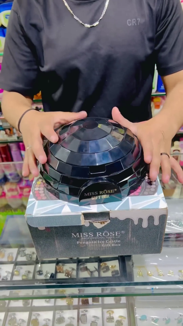 Miss Rose Professional Makeup Penguin Ice Capsule Gift Box – All-in-One Eyeshadow, Lipstick, and Blush Palette - Image 2